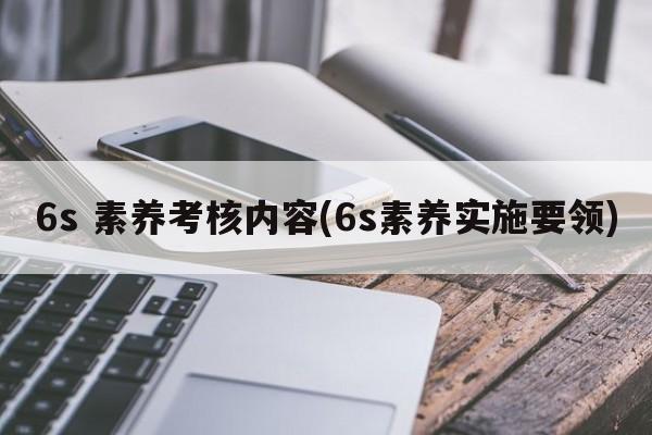 6s 素养考核内容(6s素养实施要领)